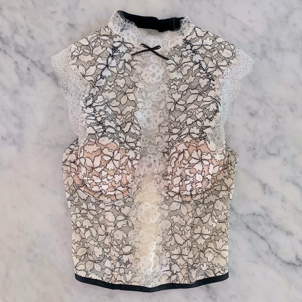 NWT Victoria’s Secret high collar lace bustier with bow + fishnet detail 34B